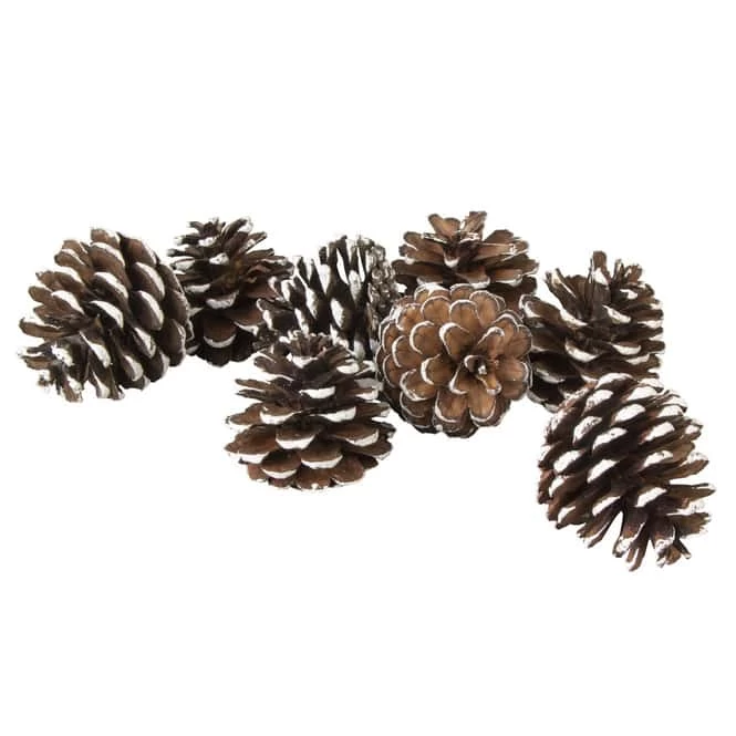 Tannenzapfen Mit Kunstschnee - Aus Holz - Ca. 6 Cm - 8 Stück 2 Tannenzapfen Mit Kunstschnee - Aus Holz - Ca. 6 Cm - 8 Stück – Bild 2