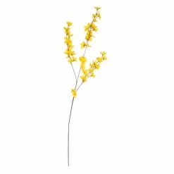 Forsynthie - Ca. 83 Cm