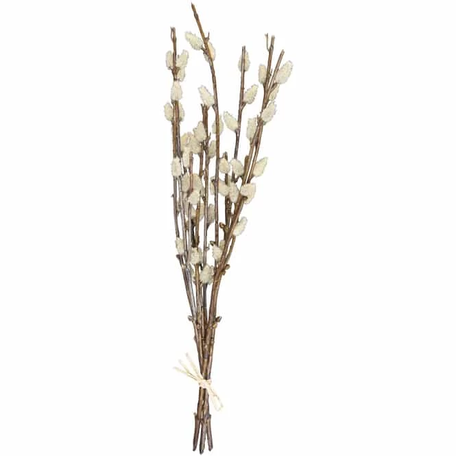 Weidenkätzchen - Ca. 42 Cm 2 Weidenkätzchen - Ca. 42 Cm – Bild 2