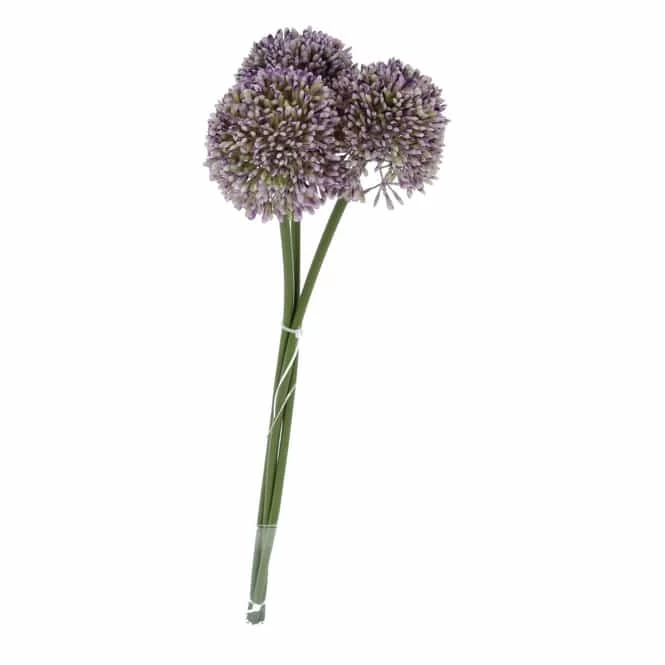 Allium - Ca. 46 Cm 1 Allium - Ca. 46 Cm