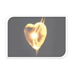 40er LED-Lichterdraht - Ca. 2 M - 1 Stück -Dekorieren Verkauf Geschäft 219562 5