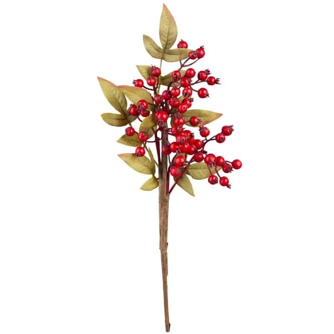 Hagebuttenzweig - 40 Cm 1 Hagebuttenzweig - 40 Cm