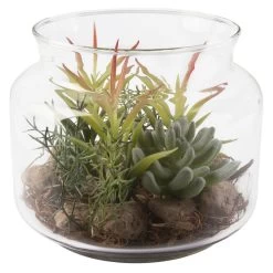 Sukkulente In Vase - Ca. 16 X 13,5 Cm - 1 Stück 10 Sukkulente In Vase - Ca. 16 X 13,5 Cm - 1 Stück -Dekorieren Verkauf Geschäft 224902 1