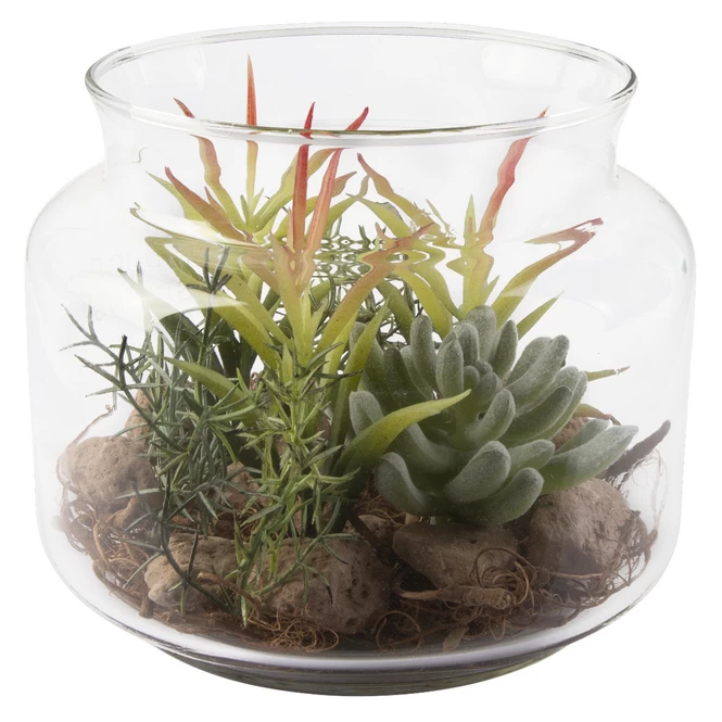 Sukkulente In Vase - Ca. 16 X 13,5 Cm - 1 Stück 5 Sukkulente In Vase - Ca. 16 X 13,5 Cm - 1 Stück – Bild 5