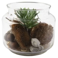 Sukkulente In Vase - Ca. 16 X 13,5 Cm - 1 Stück 8 Sukkulente In Vase - Ca. 16 X 13,5 Cm - 1 Stück -Dekorieren Verkauf Geschäft 224902 2