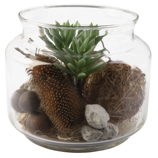 Sukkulente In Vase - Ca. 16 X 13,5 Cm - 1 Stück 3 Sukkulente In Vase - Ca. 16 X 13,5 Cm - 1 Stück – Bild 3
