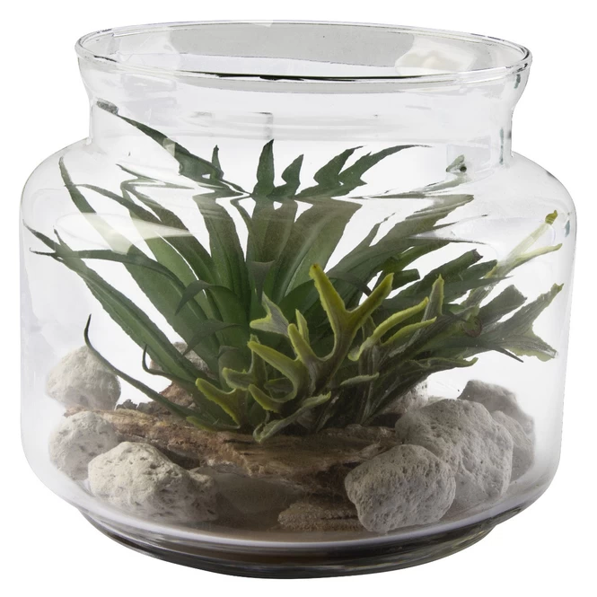 Sukkulente In Vase - Ca. 16 X 13,5 Cm - 1 Stück 2 Sukkulente In Vase - Ca. 16 X 13,5 Cm - 1 Stück – Bild 2