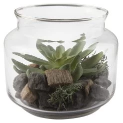Sukkulente In Vase - Ca. 16 X 13,5 Cm - 1 Stück 9 Sukkulente In Vase - Ca. 16 X 13,5 Cm - 1 Stück -Dekorieren Verkauf Geschäft 224902 4