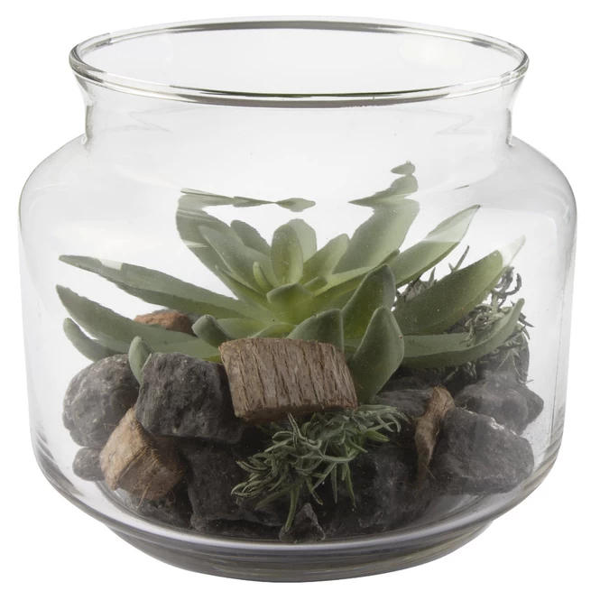 Sukkulente In Vase - Ca. 16 X 13,5 Cm - 1 Stück 4 Sukkulente In Vase - Ca. 16 X 13,5 Cm - 1 Stück – Bild 4