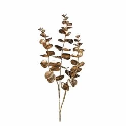 Eukalyptuszweig - Ca. 72 Cm