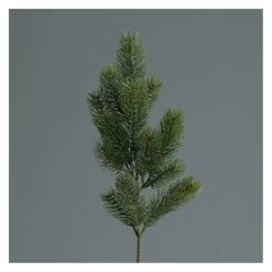 Edeltannen-Zweig - Ca. 50 Cm