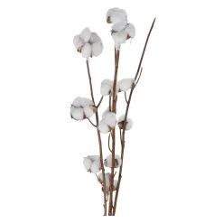 Baumwollzweig - Aus Holz - Ca. 90 Cm