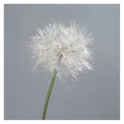 Pusteblume - Ca. 80 Cm - Weiß