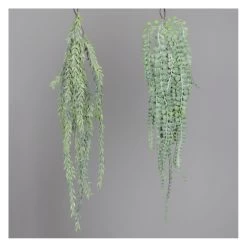 Hänge-Sukkulente - Ca. 60 Cm - 1 Stück -Dekorieren Verkauf Geschäft 235648 1
