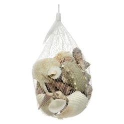 Streudeko - Muscheln - 1 Beutel -Dekorieren Verkauf Geschäft 235795 4