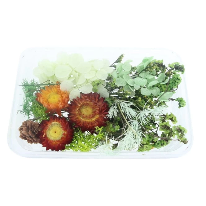 Streudeko - Trockenblumen - Grün 1 Streudeko - Trockenblumen - Grün