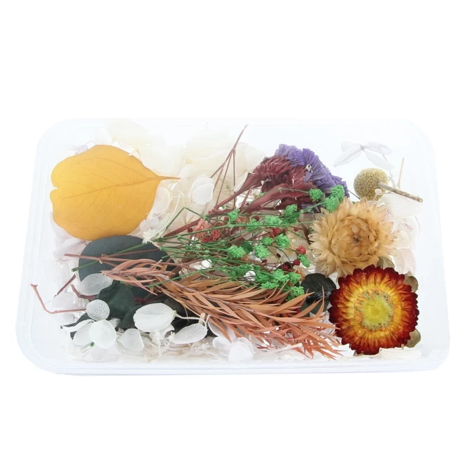 Streudeko - Trockenblumen - Orange 1 Streudeko - Trockenblumen - Orange