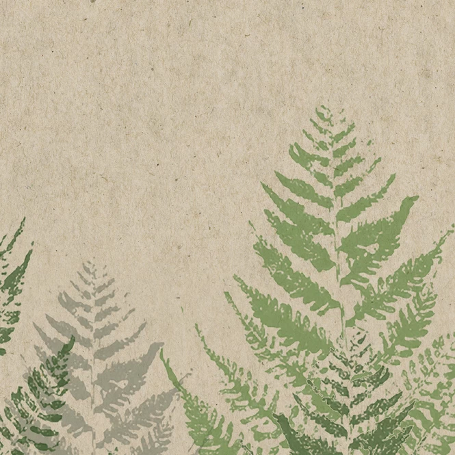 25 Servietten - Farn - Ca. 33 X 33 Cm 1 25 Servietten - Farn - Ca. 33 X 33 Cm