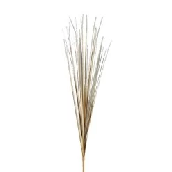 Isolepsis Gras - Ca. 70 Cm - Trocken-Optik