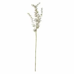 Eukalyptuszweig - Ca. 73 Cm