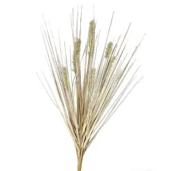 Gras Fruchtstand - Ca. 50 Cm - Trocken-Optik