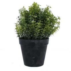 Strauch In Topf - Künstlich - Ca. 18 X 25 Cm