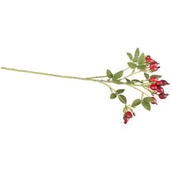 Hagebuttenzweig - Ca. 54 Cm - Verschiedene Farben -Dekorieren Verkauf Geschäft 4027234844572 hagebuttenzweig rot