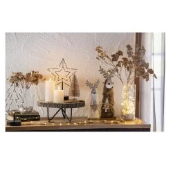 Ginkgozweig - Ca. 57 Cm