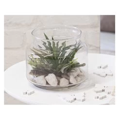 Sukkulente In Vase - Ca. 16 X 13,5 Cm - 1 Stück 11 Sukkulente In Vase - Ca. 16 X 13,5 Cm - 1 Stück -Dekorieren Verkauf Geschäft alles512