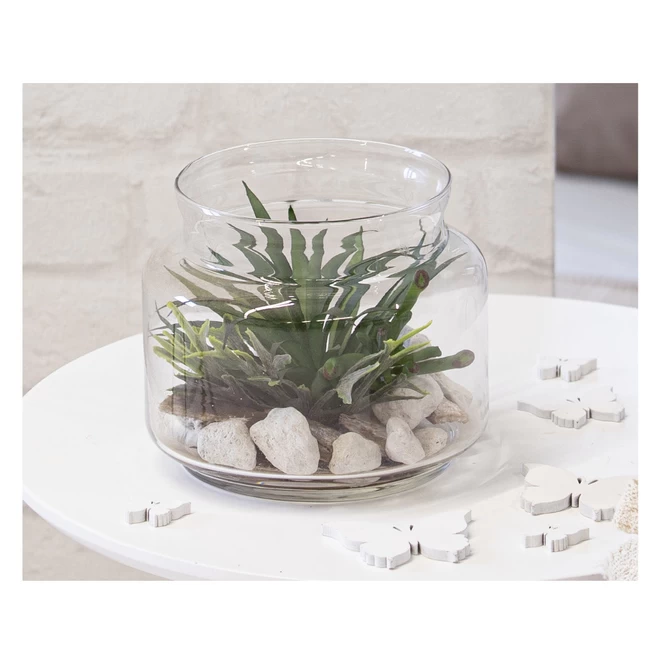 Sukkulente In Vase - Ca. 16 X 13,5 Cm - 1 Stück 6 Sukkulente In Vase - Ca. 16 X 13,5 Cm - 1 Stück – Bild 6