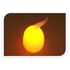 LED-Kerze - Verschiedene Größen