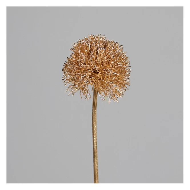 Allium - Ca. 69 Cm - Gold 1 Allium - Ca. 69 Cm - Gold